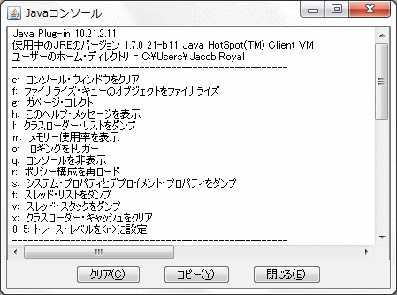 Java コンソールのサンプルのスクリーンショット